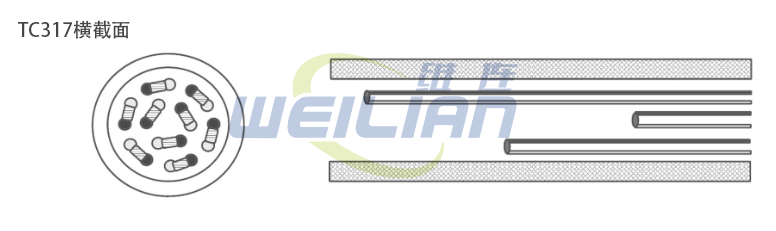 什么是多點(diǎn)熱電偶溫度傳感器？ 上海維連電子