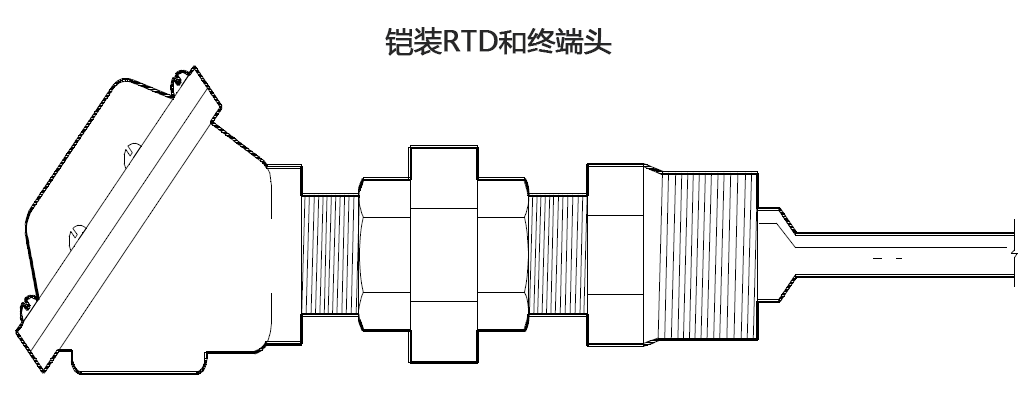鎧裝RTD和終端頭 維連溫度傳感器